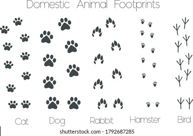 Domestic animals footprints Vectorial Image