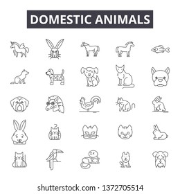 Domestic animals line icons, signs, vector set, outline illustration concept 