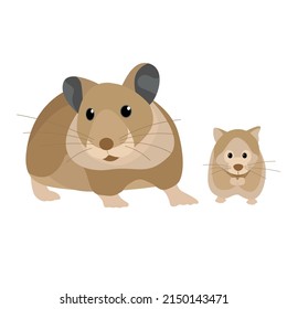 domestic animals mom and child vector illustration