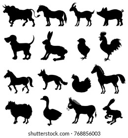 domestic animals, motive of farm, agreeculture, cattle