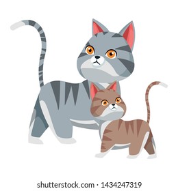 domestic animals and pet with cat and pussy cat icon cartoon vector illustration graphic design