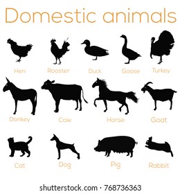 Domestic animals, pets silhouette