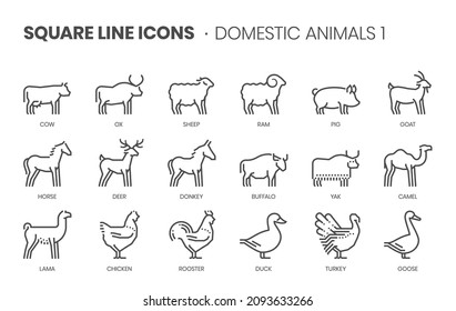 Domestic animals related, pixel perfect, editable stroke, up scalable square line vector icon set. 