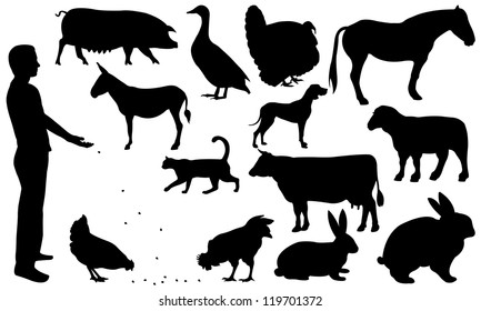 domestic animals set