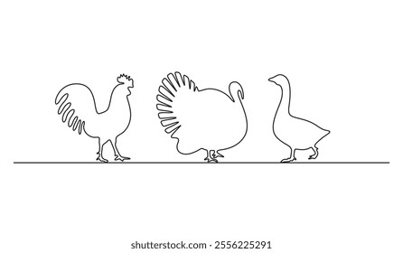 Domestic animals single line set. Continuous line drawing of chicken, rooster, goose, turkey. Vector illustration