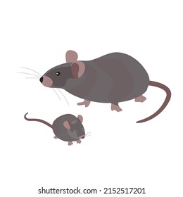 Domestic animals vector illustration pets