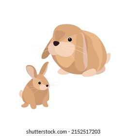 Domestic animals vector illustration pets