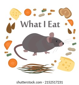 Domestic animals vector illustration pets