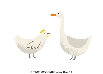 Domestic bird. Chicken and goose. Hand drawing illustration. Flat illustration