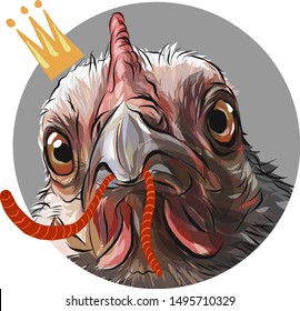 Domestic bird. Funny royal chicken head. Animal in clothes. A chicken with eyes, a beak and a crown on his head stares sternly at the camera. She has a long red worm in her beak. Gray circle. Vector