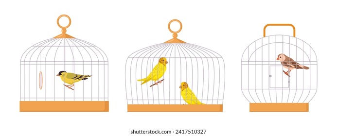 Domestic birds in iron cages. Cartoon bird cages, cute budgies and finches, exotic birds in cages flat vector illustration set. Decorative birds sitting in cages