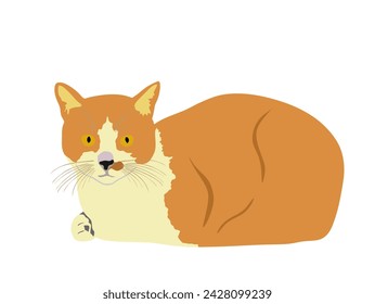 Domestic brown cat sitting vector silhouette illustration isolated on white background. Lovely kitty pet symbol. Cat lies down.