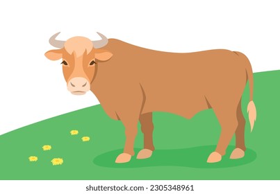 Domestic bull grazing on a green pasture. Farm animal. Simple flat cartoon illustration. Spring meadow background