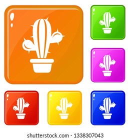 Domestic cactus icons set collection vector 6 color isolated on white background