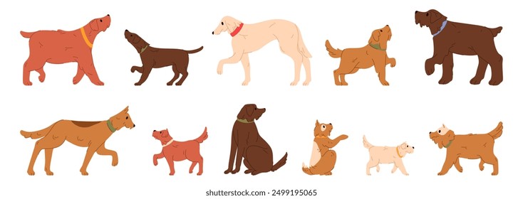 Animales caninos domésticos con pelaje y cola feliz. Vector conjunto aislado de mascotas, perrito con collares al aire libre. Razas puras y perros callejeros en las calles. Vista de Perfil de perritos lindos