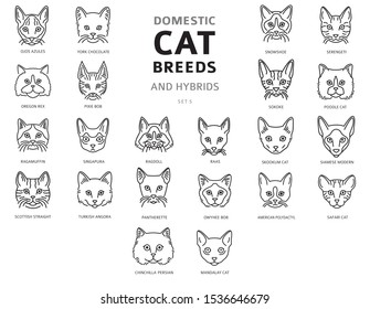 Domestic cat breeds and hybrids linear portraits collection isolated on white. Simple line cat`s head style set. Vector illustration