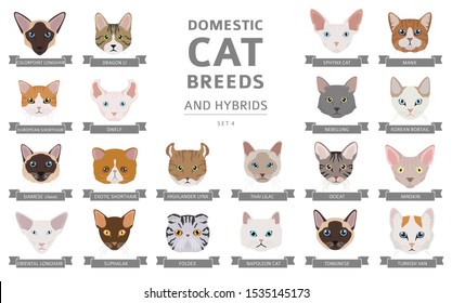 Domestic cat breeds and hybrids portraits collection isolated on white. Flat color cat`s head style set. Vector illustration