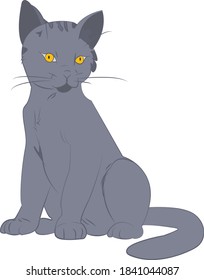 Domestic cat. Favorite pet breed. Realistic vector illustration.