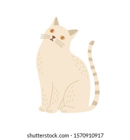 Domestic cat flat vector illustration. Childish soft toy, kid plaything, interior decor element. Sitting kitten, home animal. Cute cartoon pet with striped tail isolated on white background.