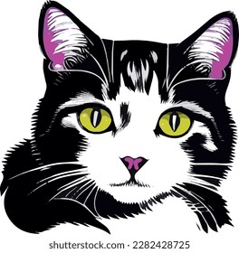 dibujo vectorial de la cabeza del gato doméstico