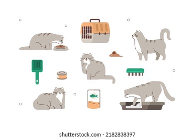 Ilustración de gatos domésticos. Comer caracteres de gato, usar una caja de basura, dormir y jugar. Diferente tipo de comida animal, juguetes, alimentos y enjaula para el cuidado e higiene de mascotas. Ilustración vectorial.