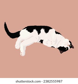 Domestic cat. The cat lies and rests. The pet is resting.