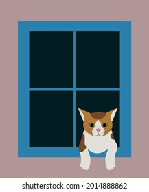 Domestic cat looking out window. Vector illustration.