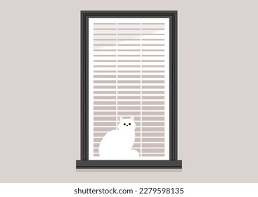 A domestic cat peering through the window shutters