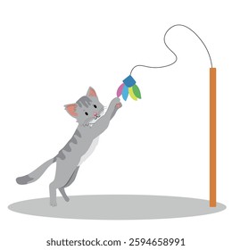 domestic cat playing with a feather toy, vector illustration