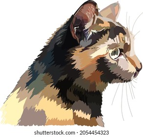 Domestic cat in profile, sketch vector graphic colour illustration on white background