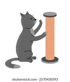 A domestic cat scratches a scratcher for cats. Paws with claws. Cute pet. Animal life. Cartoon vector illustration isolated on white background