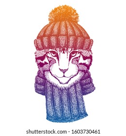 Domestic cat. Ski, skier animal wearing woolen knitted hat. Christmas time. Cartoon character for little children. Kids print for shirts. Nursery decor.