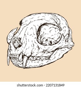 domestic cat skull head vector illustration