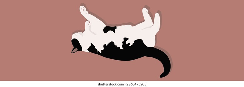 A domestic cat sleeps with its belly up. Recreation for pets.