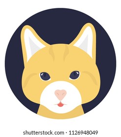 The domestic cat, a small typically furry, carnivorous mammal