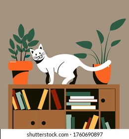 Domestic cat walking on a bookcase. Pets.