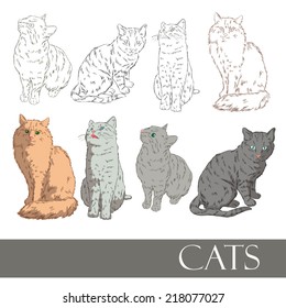 Domestic cats