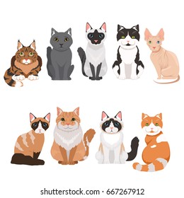 Domestic cats in cartoon style. Vector illustrations isolate on white