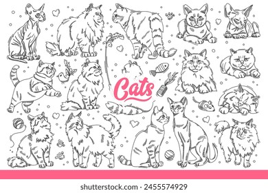 Domestic cats of different breeds in different poses, resting or hunting for toys. Fluffy and hairless cats for advertising zoo store with products for pet owners. Hand drawn doodle