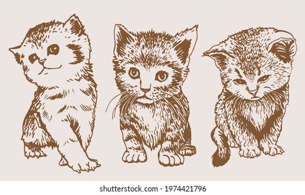 Domestic cats on sepia background,vector elements 