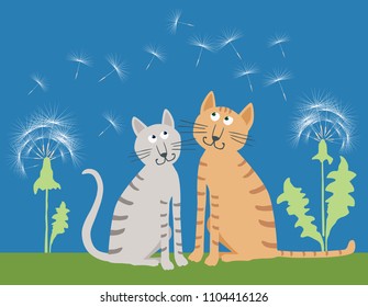 The domestic cats on the summer meadow