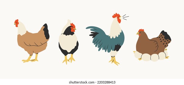 Domestic Chicken set. Different hens, rooster, eggs in nest. Various breed. Farm birds, Easter, organic eco food concept. Design elements. Cute farm animals. Hand drawn Vector illustration