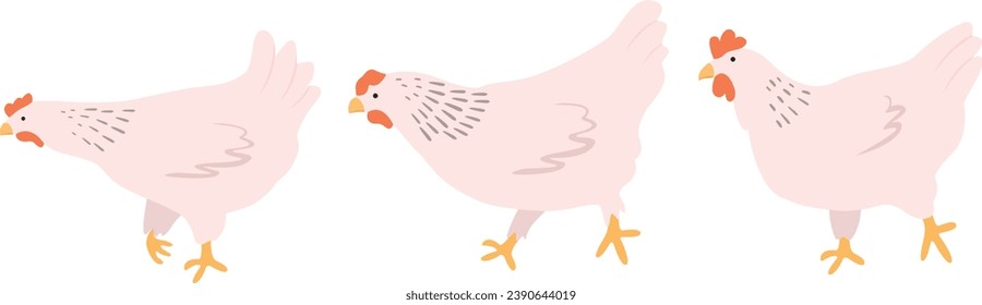 Domestic chickens vector element. Farming illustration. Hand drawn set