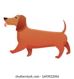 Domestic dachshund icon. Cartoon of domestic dachshund vector icon for web design isolated on white background