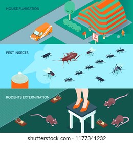 Domestic disinfection horizontal banners set with methods of insects and rodents extermination 3d isometric isolated vector illustration