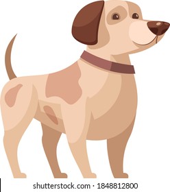 Domestic Dog Catroon vector portrait