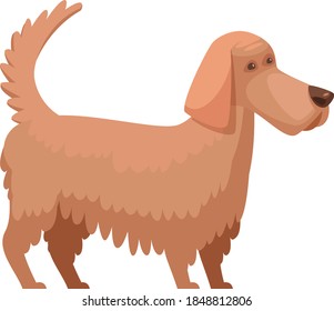 Domestic Dog Catroon vector portrait