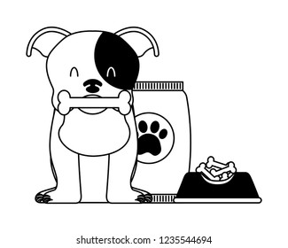 domestic dog with food