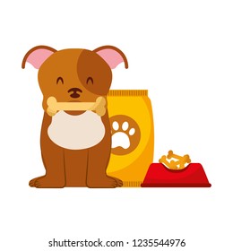 domestic dog with food