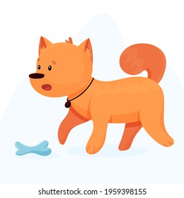 The domestic dog guards the bone. Cute pet